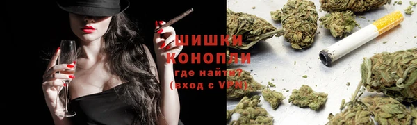 PSILOCYBIN Ельня