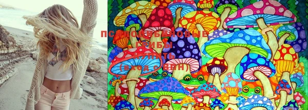 PSILOCYBIN Ельня