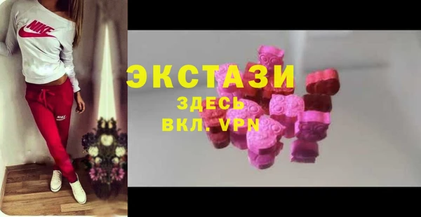 PSILOCYBIN Ельня