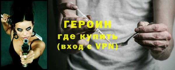 PSILOCYBIN Ельня
