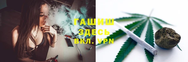 PSILOCYBIN Ельня