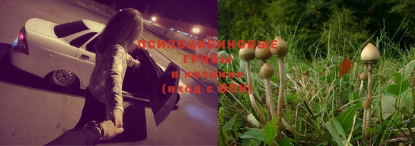 ГАЛЛЮЦИНОГЕННЫЕ ГРИБЫ Елизово