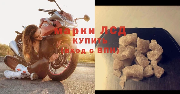ГАЛЛЮЦИНОГЕННЫЕ ГРИБЫ Елизово