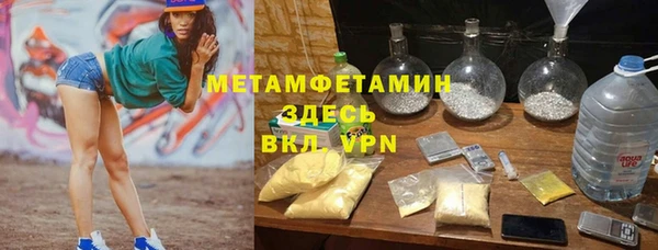 PSILOCYBIN Ельня