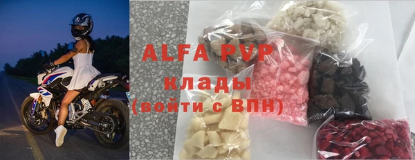 PSILOCYBIN Ельня