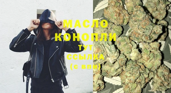 PSILOCYBIN Ельня