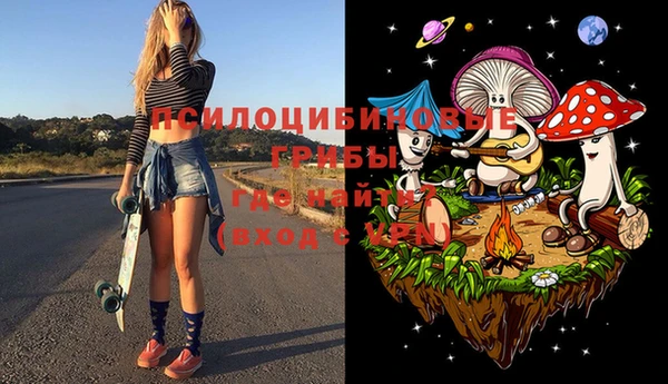 PSILOCYBIN Ельня